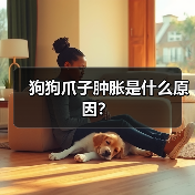 狗狗爪子肿胀是什么原因?(图2) 狗狗爪子肿胀是什么原因?(图2)