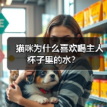 猫咪为什么喜欢喝主人杯子里的水？ - 新生家伴