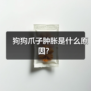 狗狗爪子肿胀是什么原因?(图3) 狗狗爪子肿胀是什么原因?(图3)