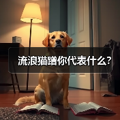 流浪猫蹭你代表什么？ - 新生家伴