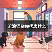 流浪猫蹭你代表什么？(图2)