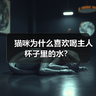 猫咪为什么喜欢喝主人杯子里的水?(图4) 猫咪为什么喜欢喝主人杯子里的水?(图4)