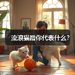 流浪猫蹭你代表什么？(图3)