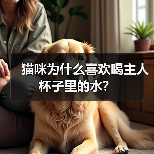 猫咪为什么喜欢喝主人杯子里的水?(图3) 猫咪为什么喜欢喝主人杯子里的水?(图3)
