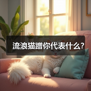 流浪猫蹭你代表什么？(图4)