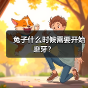 兔子什么时候需要开始磨牙?(图4) 兔子什么时候需要开始磨牙?(图4)