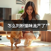 怎么判断猫咪流产了？ - 新生家伴