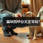 猫咪指甲分叉正常吗？(图3)