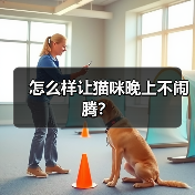 怎么样让猫咪晚上不闹腾？(图3)