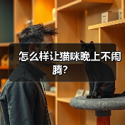 怎么样让猫咪晚上不闹腾？(图4)