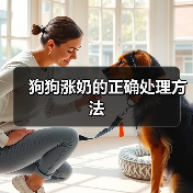 狗狗涨奶的正确处理方法(图4)