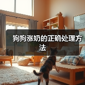 狗狗涨奶的正确处理方法(图2)