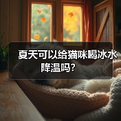 夏天可以给猫咪喝冰水降温吗？(图4)