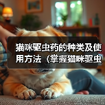 猫咪驱虫药的种类及使用方法（掌握猫咪驱虫药的选择和使用，让爱 - 新生家伴