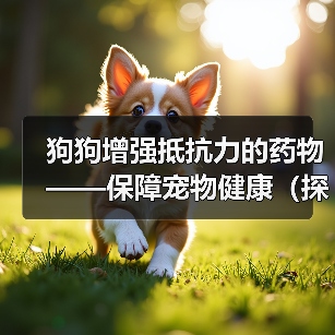 狗狗增强抵抗力的药物——保障宠物健康（探索药物改善狗狗免疫系统的有效方法）(图4)