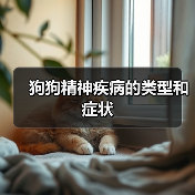 狗狗精神疾病的类型和症状(图3)