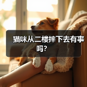 猫咪从二楼摔下去有事吗？(图4)