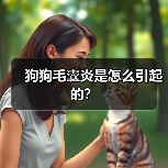 狗狗毛囊炎是怎么引起的? 狗狗毛囊炎是怎么引起的?(图4)