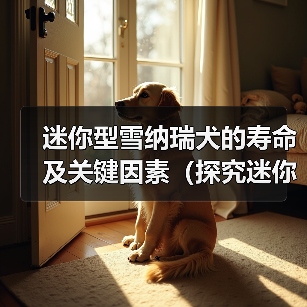 迷你型雪纳瑞犬的寿命及关键因素（探究迷你型雪纳瑞犬的预期寿命和影响因素）(图3)