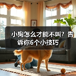 小狗怎么才能不叫？告诉你6个小技巧(图4)