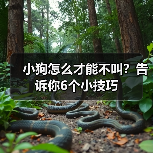 小狗怎么才能不叫？告诉你6个小技巧(图2)