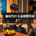 猫咪为什么会被困在树上？ - 新生家伴