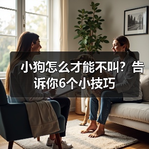 小狗怎么才能不叫？告诉你6个小技巧 - 新生家伴