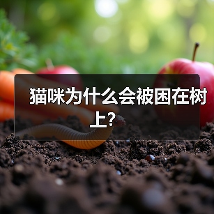 猫咪为什么会被困在树上？(图2)