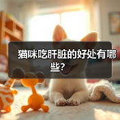猫咪吃肝脏的好处有哪些？ - 新生家伴