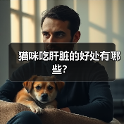 猫咪吃肝脏的好处有哪些？(图2)