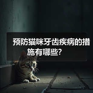 预防猫咪牙齿疾病的措施有哪些？(图3)