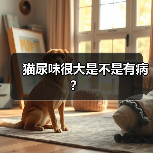 猫尿味很大是不是有病？(图2)