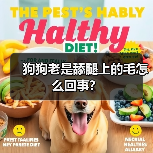 狗狗老是舔腿上的毛怎么回事？(图2)