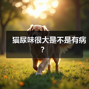 猫尿味很大是不是有病？(图3)