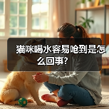猫咪喝水容易呛到是怎么回事？(图2)