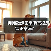 狗狗散步回来喘气很厉害正常吗？ - 新生家伴
