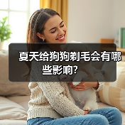 夏天给狗狗剃毛会有哪些影响？(图3)