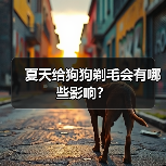 夏天给狗狗剃毛会有哪些影响？ - 新生家伴