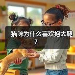 猫咪为什么喜欢抱大腿？ - 新生家伴