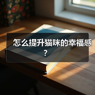 怎么提升猫咪的幸福感?(图4) 怎么提升猫咪的幸福感?(图4)