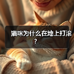猫咪为什么在地上打滚？(图4)