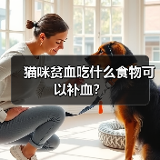 猫咪贫血吃什么食物可以补血？(图2)