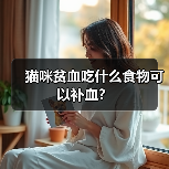 猫咪贫血吃什么食物可以补血？(图4)