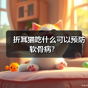 折耳猫吃什么可以预防软骨病？(图2)
