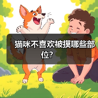 猫咪不喜欢被摸哪些部位？(图2)