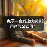 兔子一直发出噗噗噗的声音怎么回事？(图3)