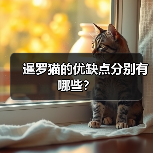暹罗猫的优缺点分别有哪些？(图3)