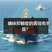 猫咪抑郁症的表现有哪些？ - 新生家伴