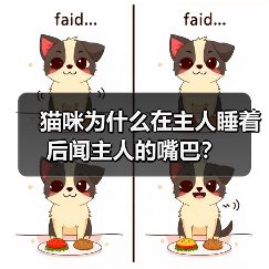 猫咪为什么在主人睡着后闻主人的嘴巴？(图4)