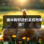 猫咪抑郁症的表现有哪些？(图2)